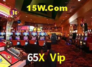 65X Vip - Customer Support